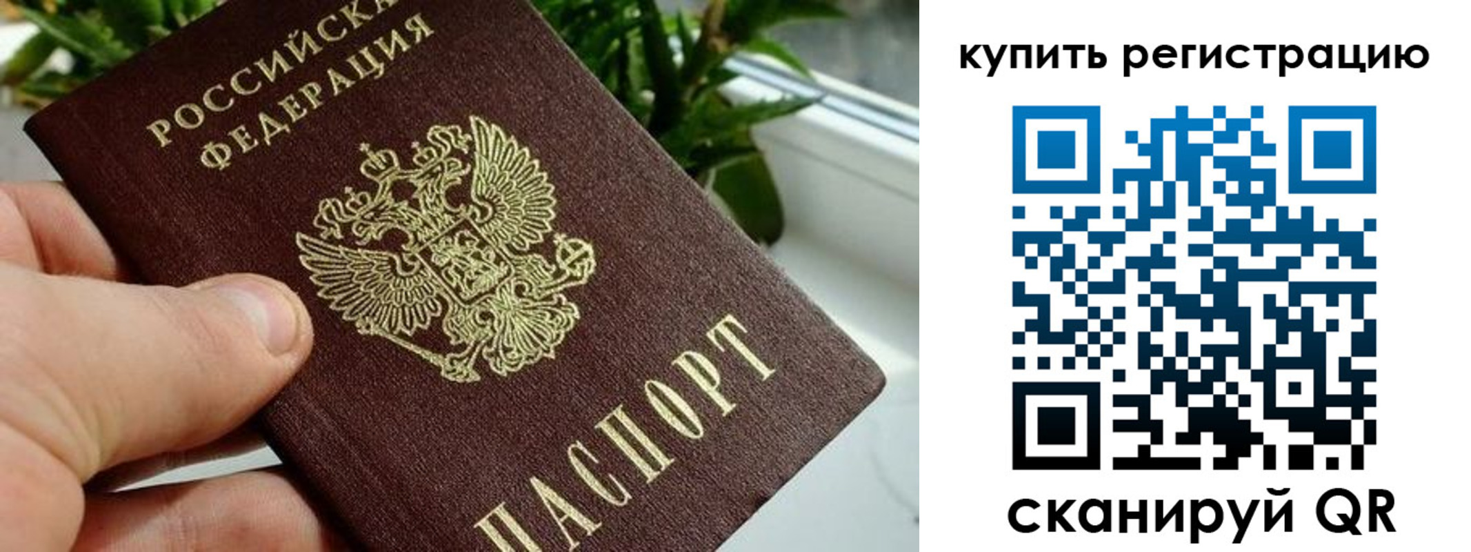 прописка гарантия в Никольске